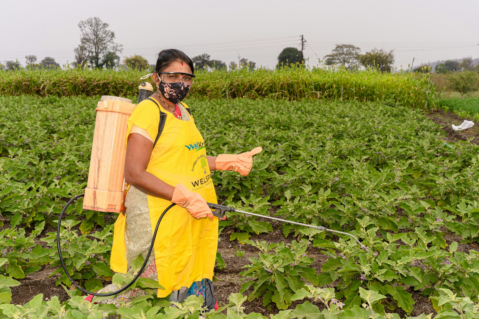 a person in a field with a sprayer